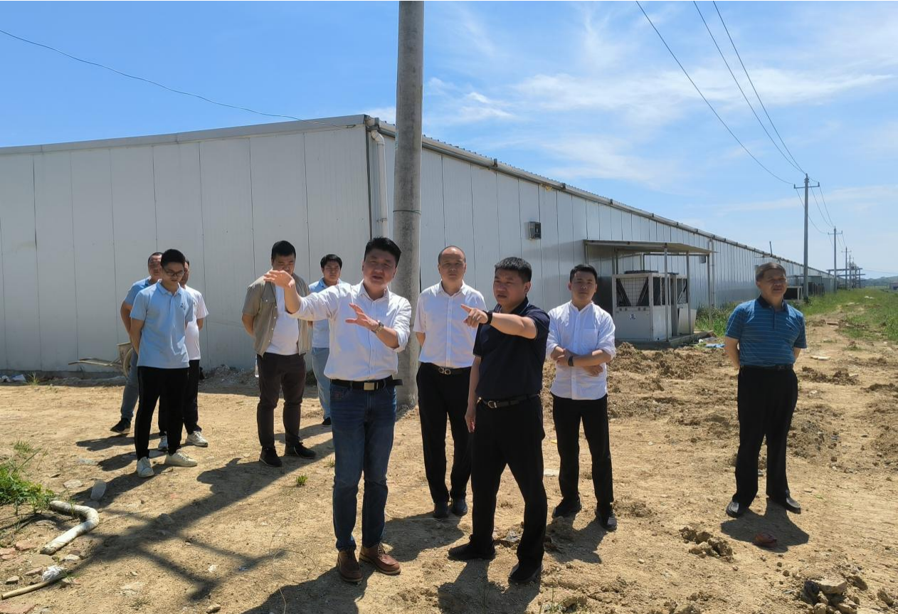 市國控集團黨委書記、董事長張志堅帶隊深入調研鄉(xiāng)村振興項目